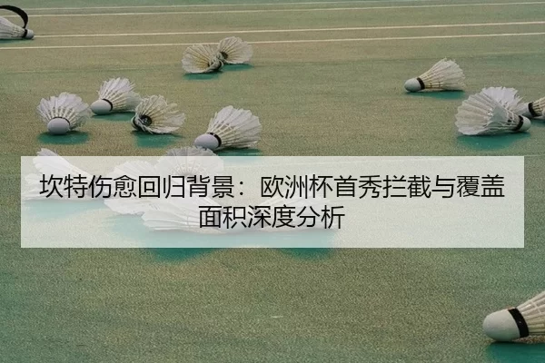 坎特伤愈回归背景：欧洲杯首秀拦截与覆盖面积深度分析